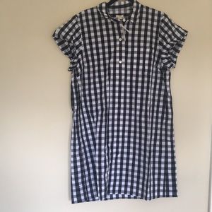 J. Crew Gingham Shirtdress